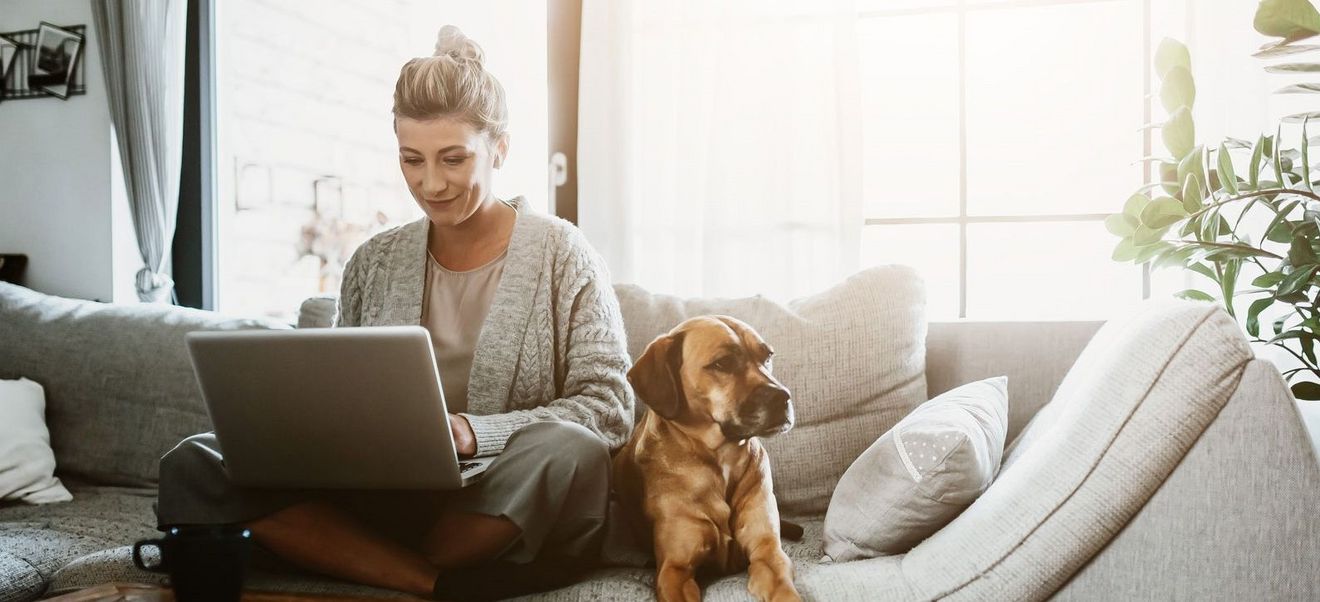 Frau auf dem Sofa vor dem Laptop sitzend mit Hund an der Seite